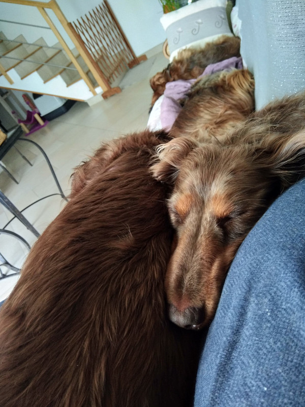 [Image: IMG-20230513-154841.jpg]