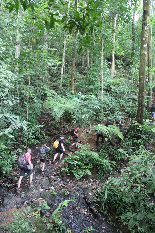 DIA 13: EXCURSIÓN DE UN DÍA A CORCOVADO - DE TORTUGAS Y PEREZOSOS. COSTA RICA 2019 (57)