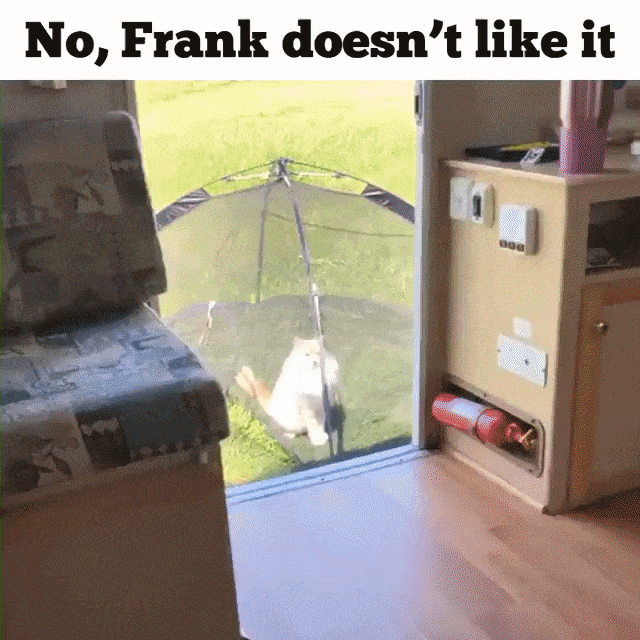frank-2.gif