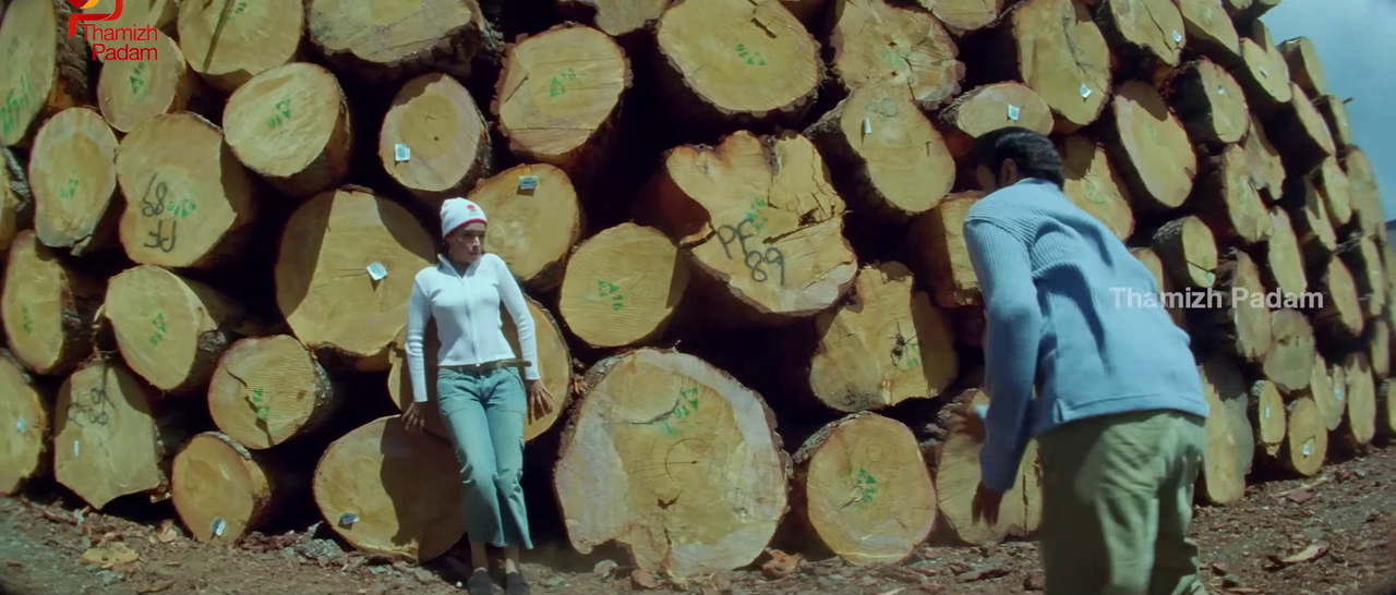 vlcsnap-2025-09-30-17h39m43s554