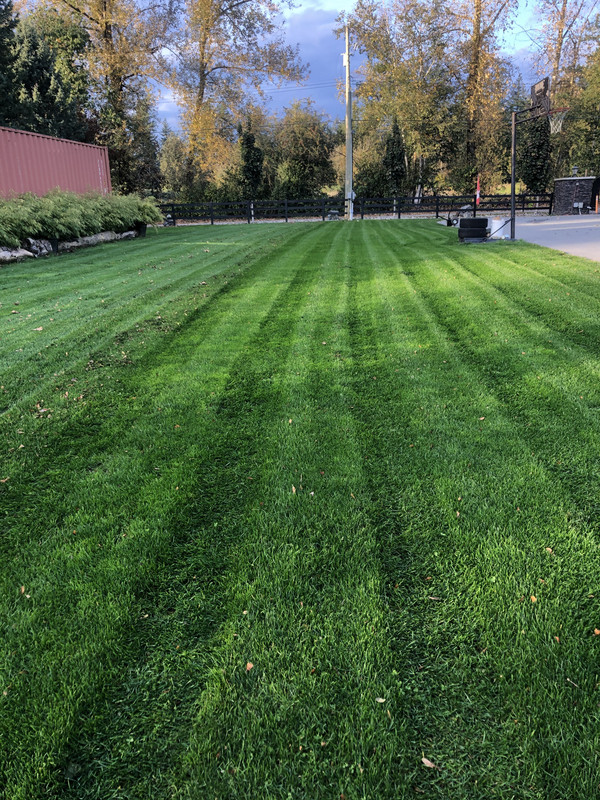 E5F5624F-66F9-4E1B-B171-BC81CC05D637