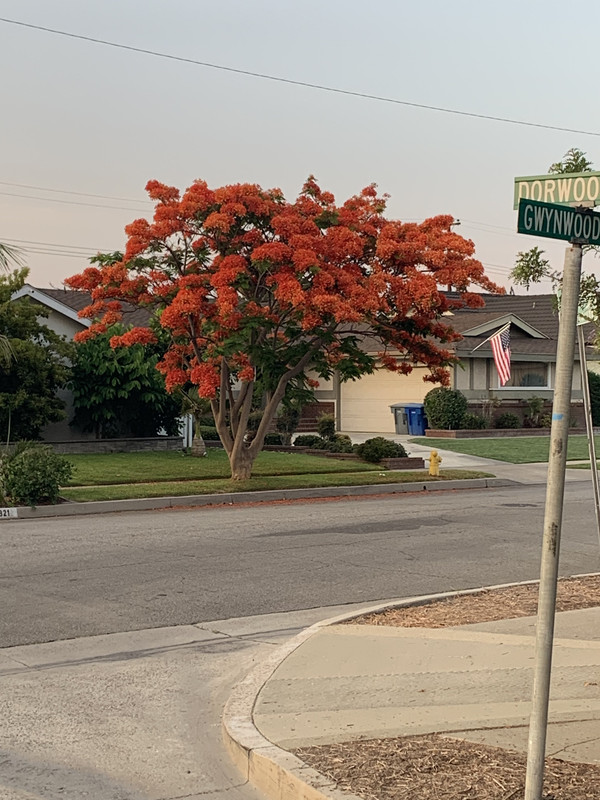 6C0B3D49-5119-4354-B563-FEA462B7BA72