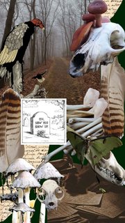 vultureculture-vulture-bones-skull-nature-natureaesthetic
