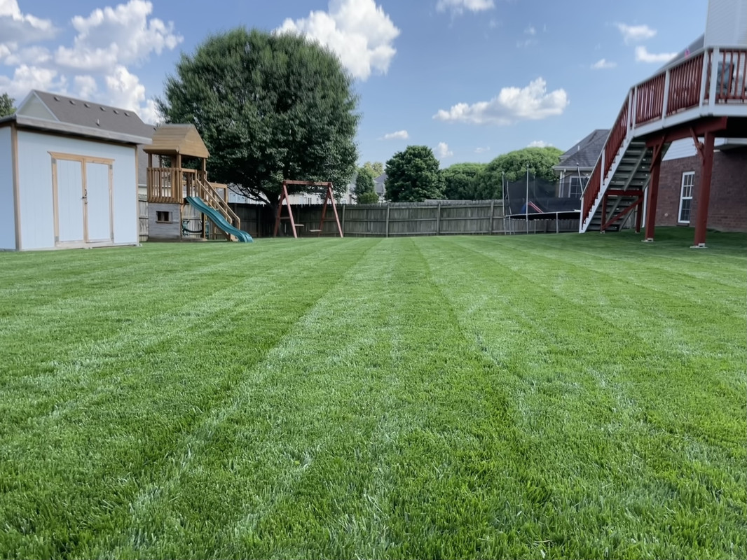 E0CBA5F4-D3A0-4C7D-9E47-904BB5C9BB37