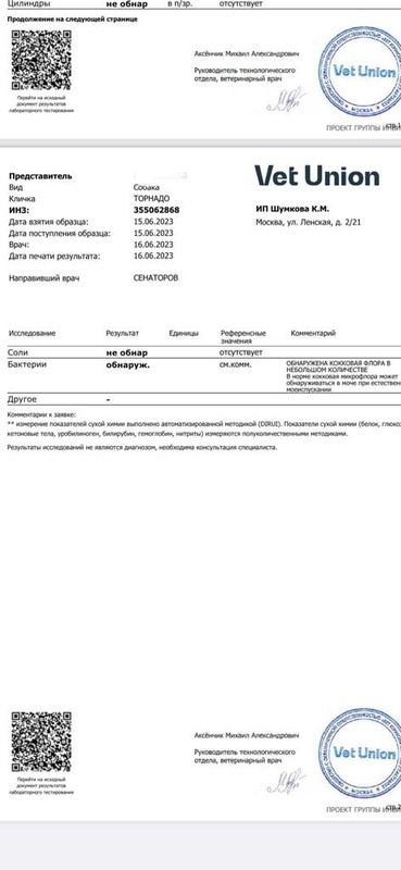 WhatsApp Image 2023-06-17 at 14.18.44 (1)