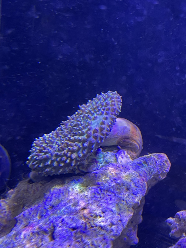 4D4DD1FD-B27E-4873-894F-033607726829