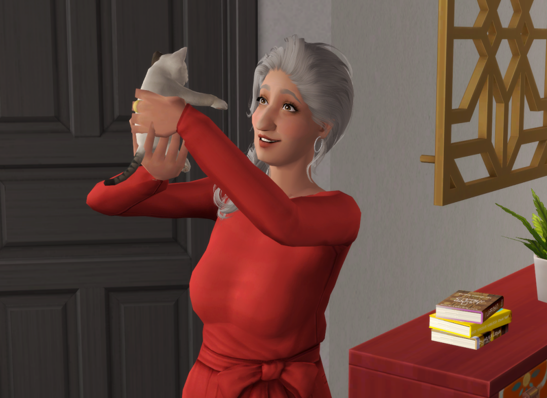 Sims2-EP9-RPC-2024-01-13-17-33-37-81