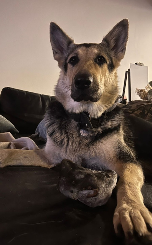 Cs6TymZrxrM8Q8qw_KGfdJifE7dW8PkJ-cHjoGs4xBOEkgSO7EI8SVjVU2lGG69aLyPV6DvlOR8EbV0dcEdWEMsn