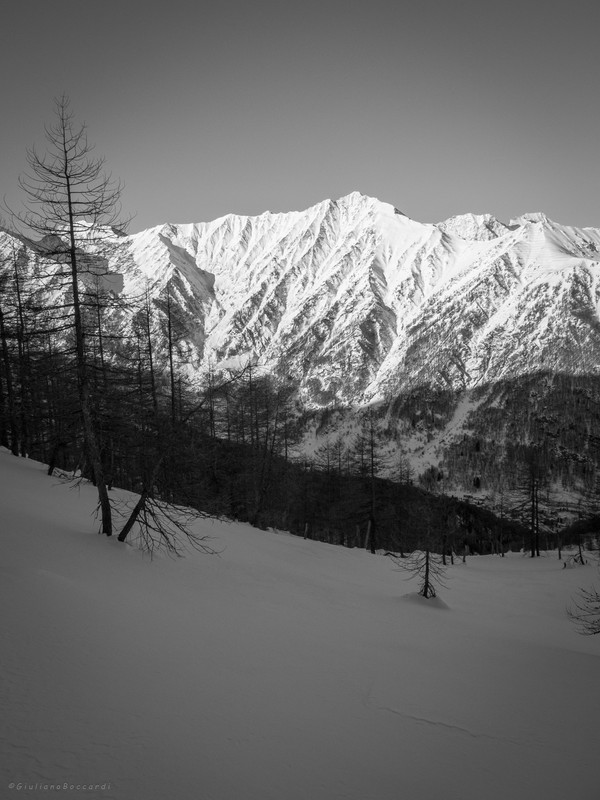 DSCF1557