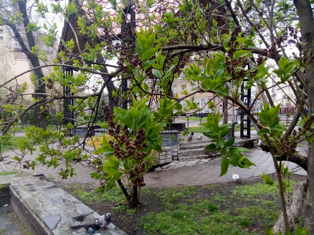 photo_2025-04-05 7.16.18 пп