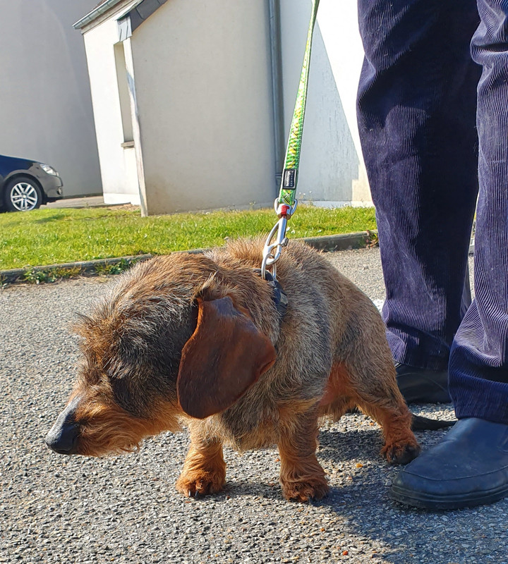 [Image: 20230313-080313.jpg]