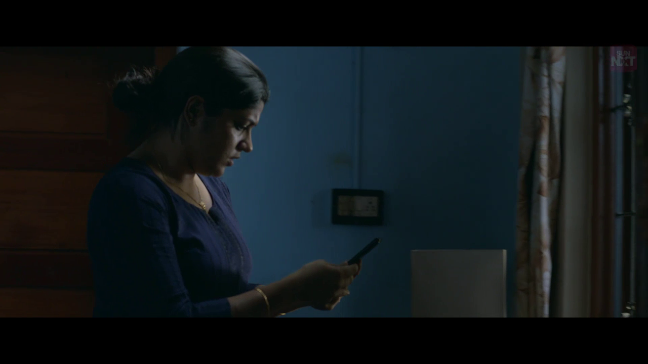 vlcsnap 2026 02 11 15h26m30s255