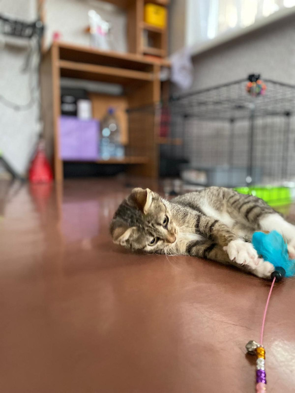 7DBEC7C4-BACD-4B55-A182-F85AFB1273E7