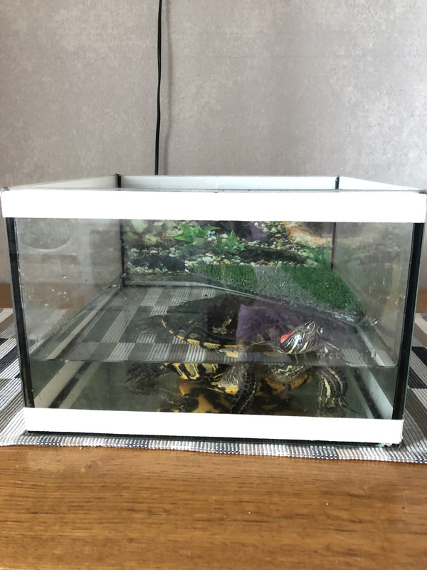 97AD4D52-740E-411B-9F8C-CE50A09A3855