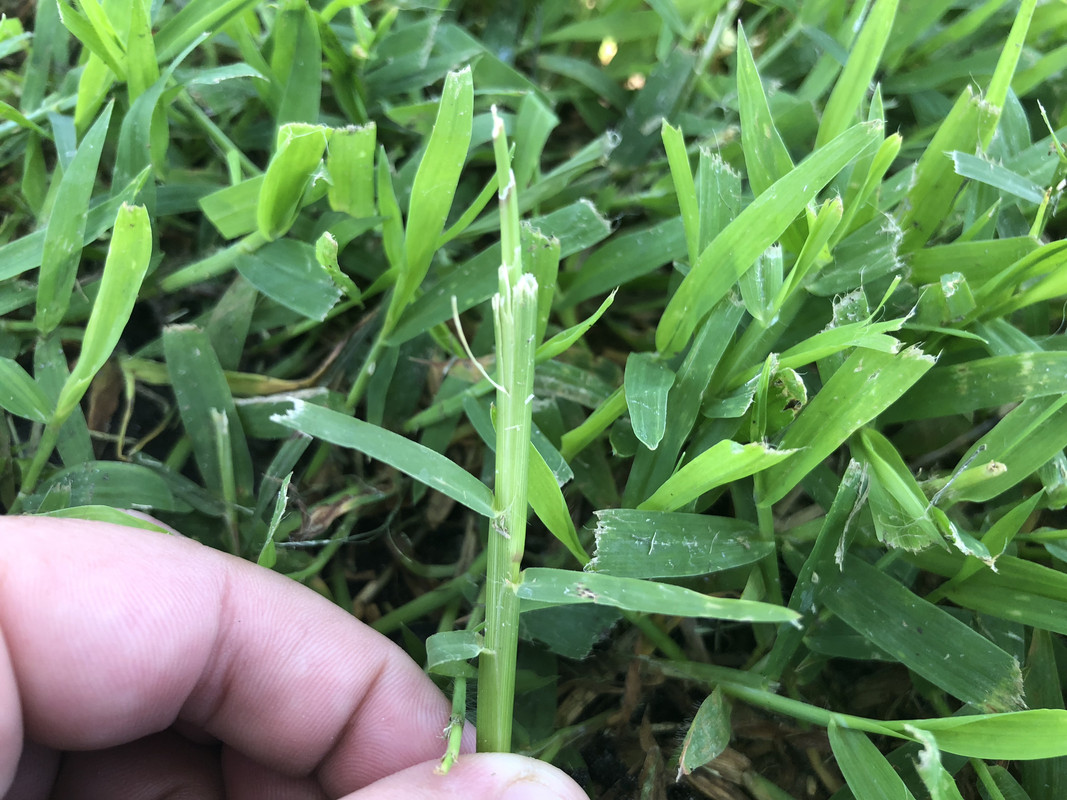 79C6FB37-7A4D-4A35-87B5-6FE308FBC647