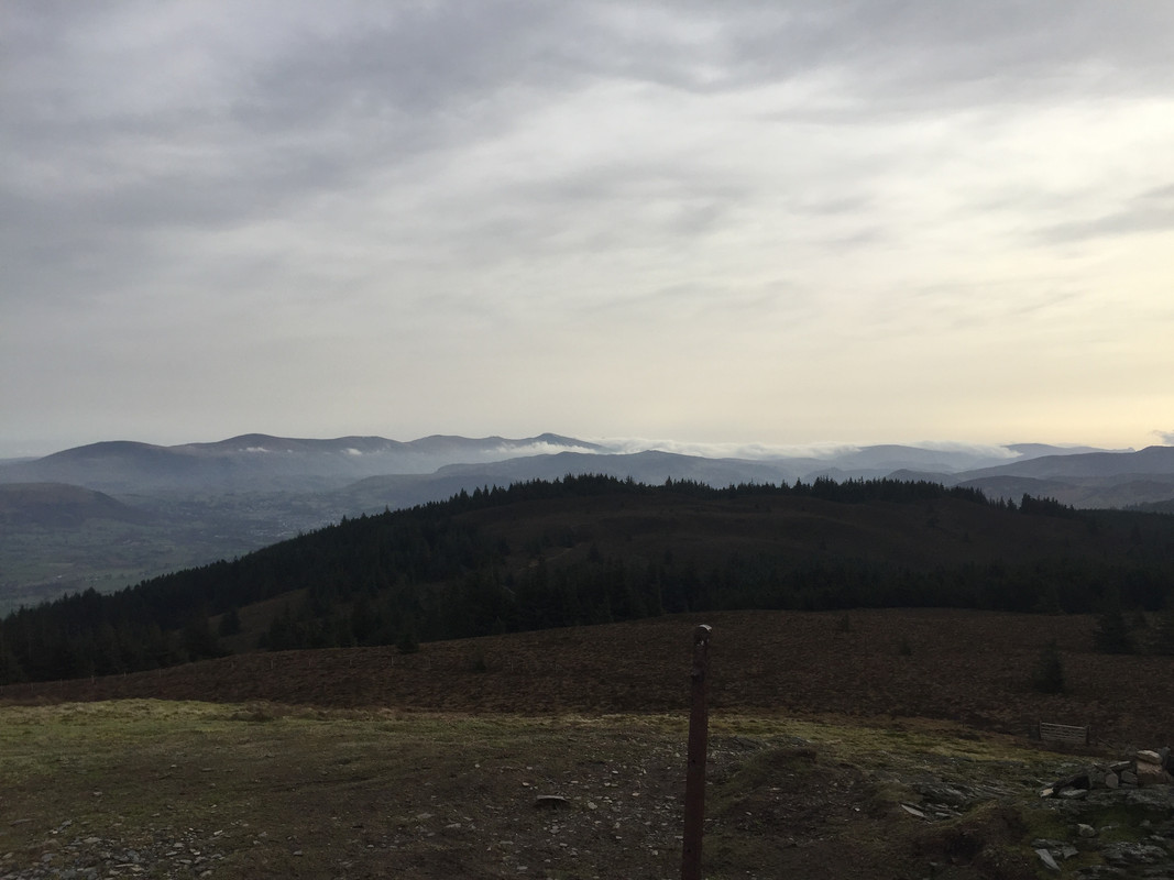 IMG 1796 — Postimages