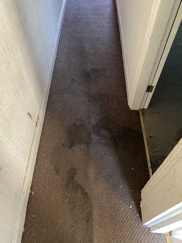 FD74851C-EE68-4BB9-8F41-0BDD1A2DC064