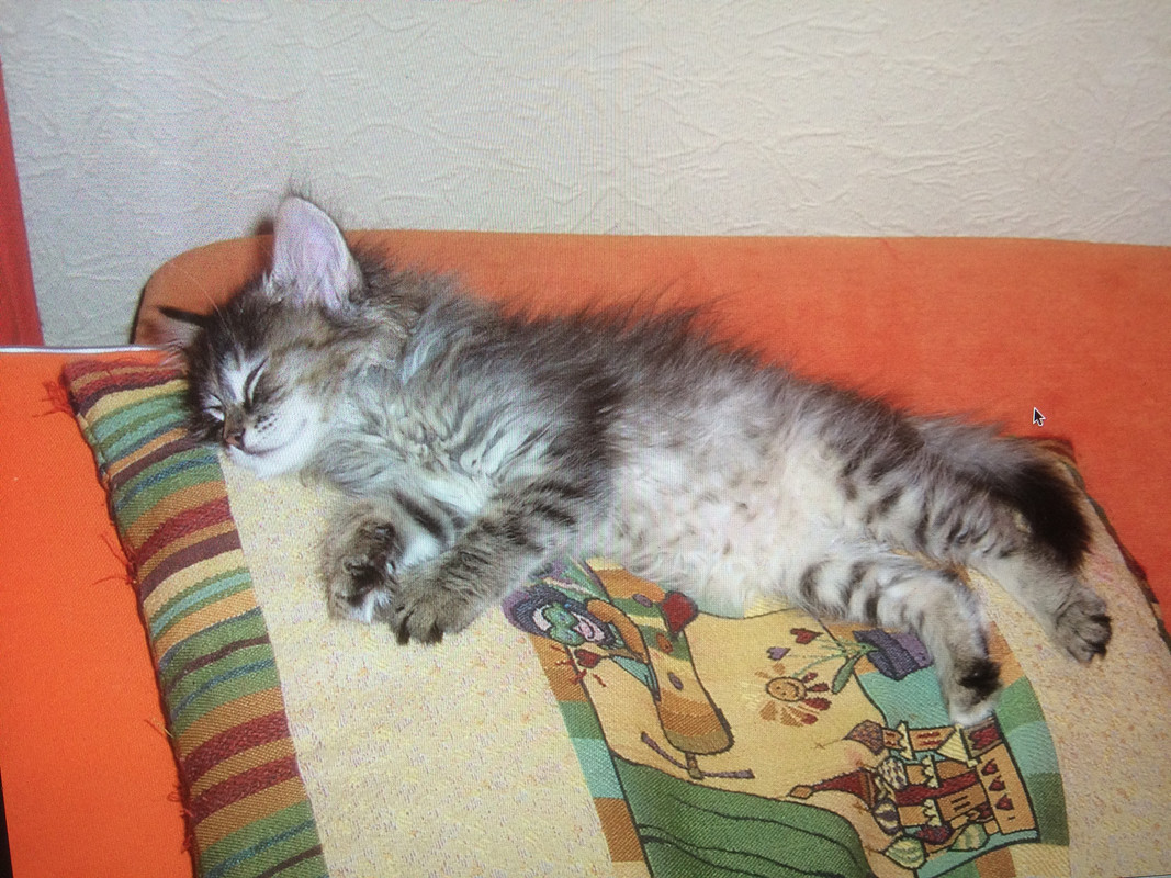 2DF30C37-A672-421E-9C5C-9E95FD56ACE6