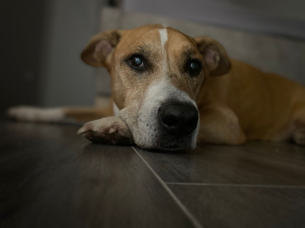 F35DB099-3979-456C-99DE-EC20BF0A5F82