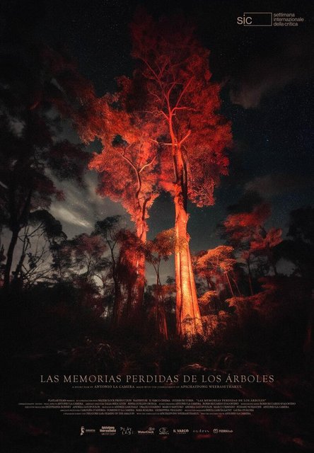 “LAS MEMORIAS PERDIDAS DE LOS ÁRBOLES” GANADOR DEL PREMIO DE LA 38 SETTIMANA INTERNAZIONALE DELLA CRÍTICA