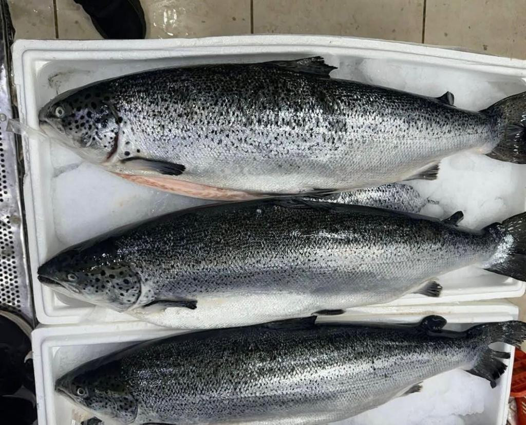 9990e21c 57ba 4f5a a345 5201dda3efc8 2