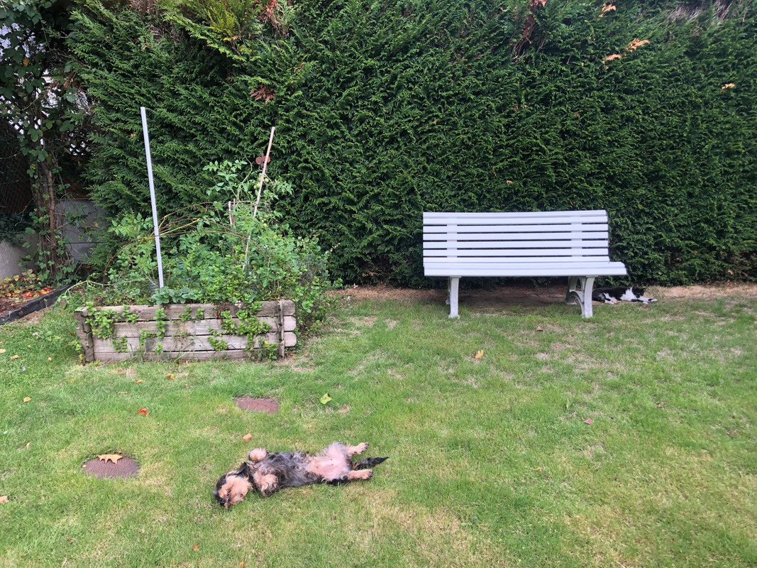 [Image: IMG-20250924-WA0010.jpg]