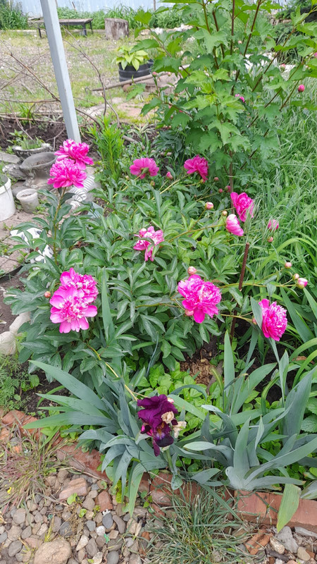 Изображение WhatsApp 2025-05-14 в 12.00.03_6e2a39bb