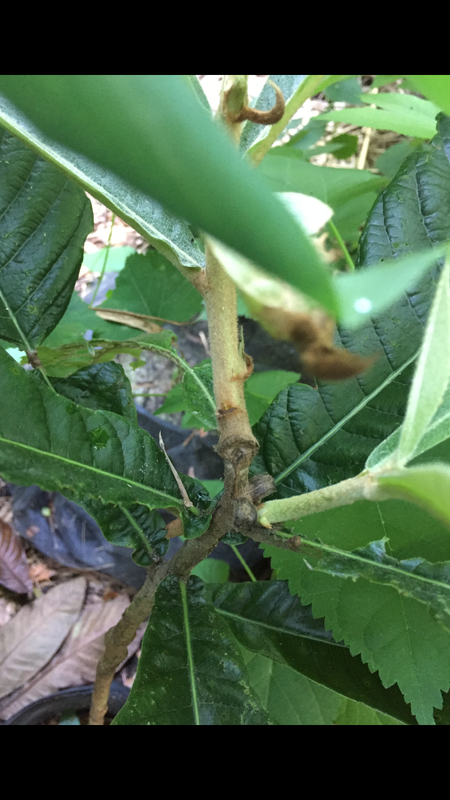 D1B388FB-CA91-43B2-8C45-5C2D97642B25