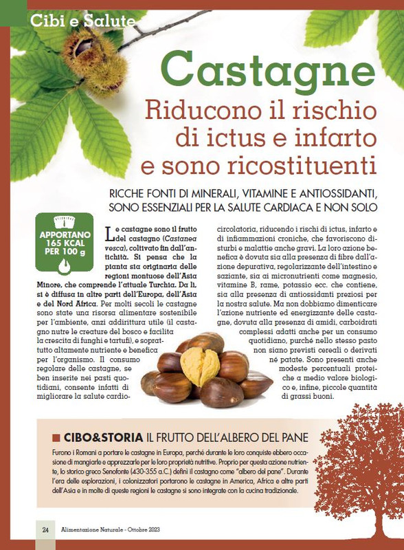 Alim Nat Ott 2023 (3)