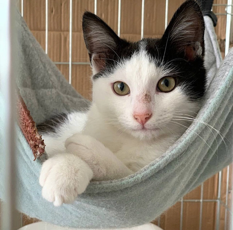 A3F9A2C2-9029-48EB-BAC1-5459F6B56622