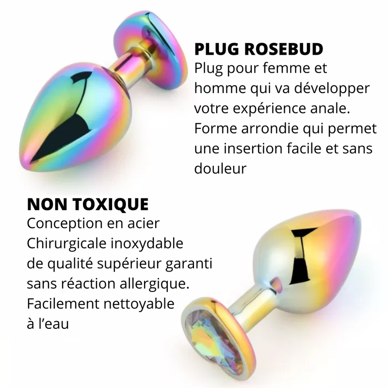 Plug Anal Bijou Rosebud Taille S 60g - Acier Inoxydable, Sextoy Unisexe, Neuf