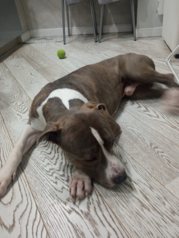 BFA3BB11-9648-489D-A208-15D239E52C96