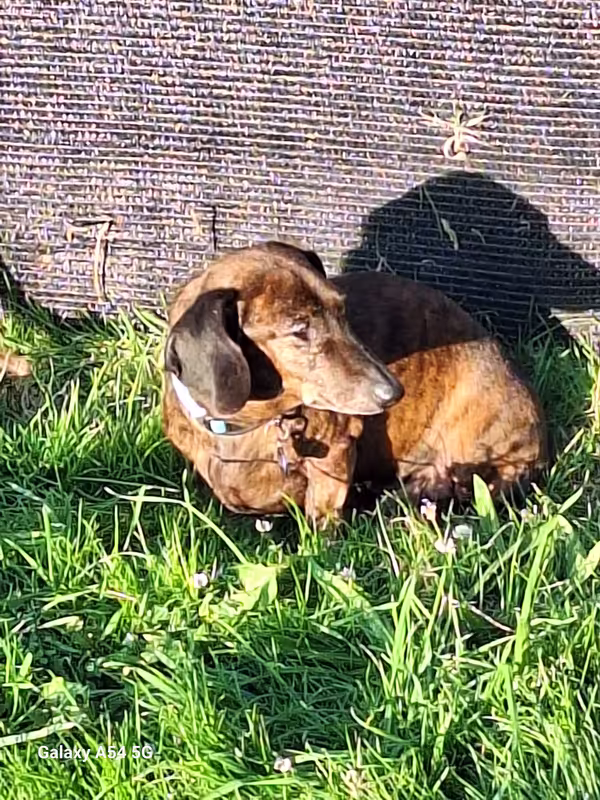 [Image: 20240916-185415.avif]