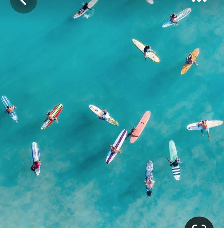 Screenshot_20230515_110421_Pinterest