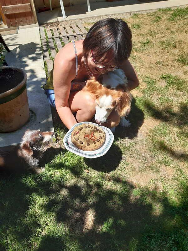 [Image: 20210613-130626.jpg]