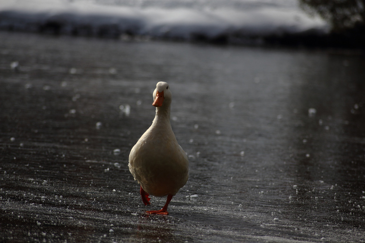 26CDD5AF-03EA-4B6A-99EF-CC8428B107A2