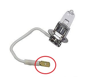 bulb-h3.jpg