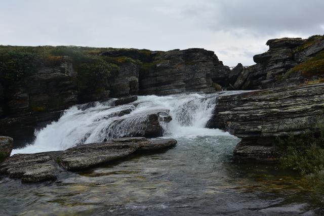 21 días por el Sur de Noruega - Blogs of Norway - Día 2. Parque Nacional de Rondane (4)