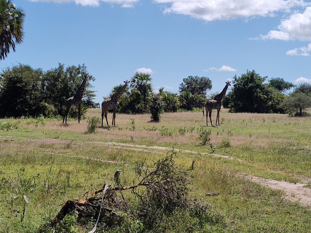 IMG_20250614_114601898