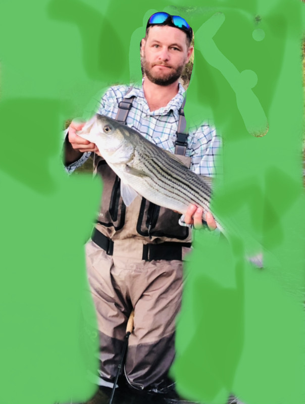 4044266E-B56A-4EE0-99CD-6DDEC15DB896