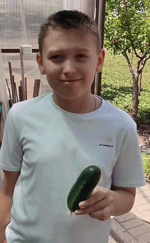Первый огурец