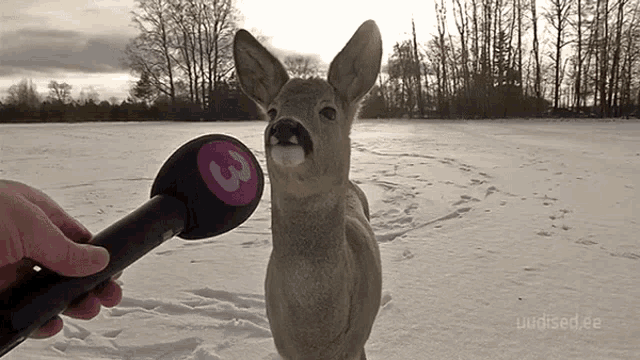 1000011677.gif