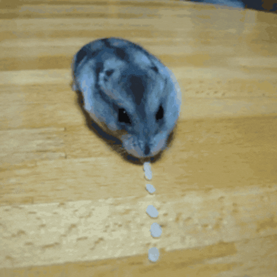 GIF-20250727-085114-904.gif