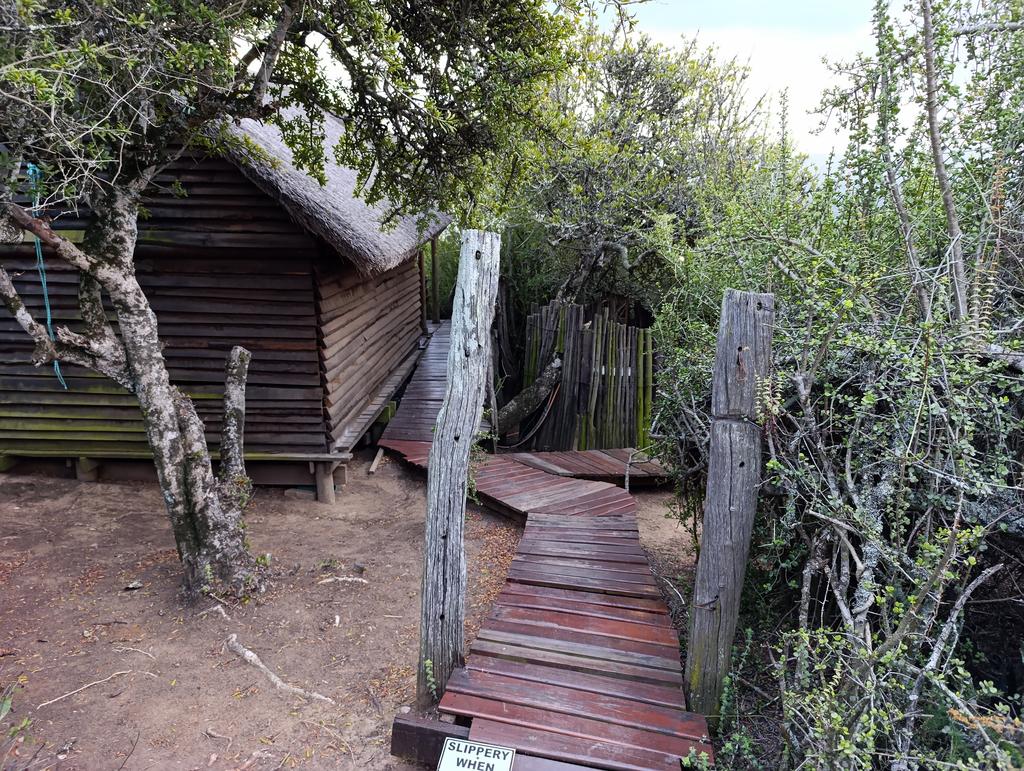 Такая близкая Африка. (ЮАР. 22 дня и 4200 км. Ноябрь-Декабрь)