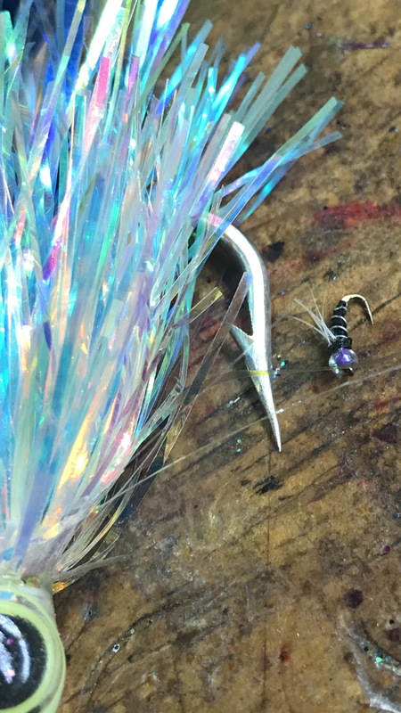 D534CDDF-6D25-4D44-B5D9-B2C8AEE508F1