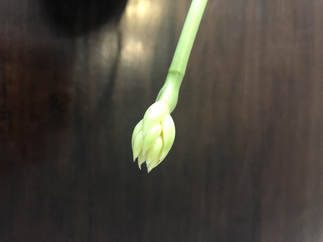 FABF61D6-AACE-4F19-8455-A8634A21FFFC