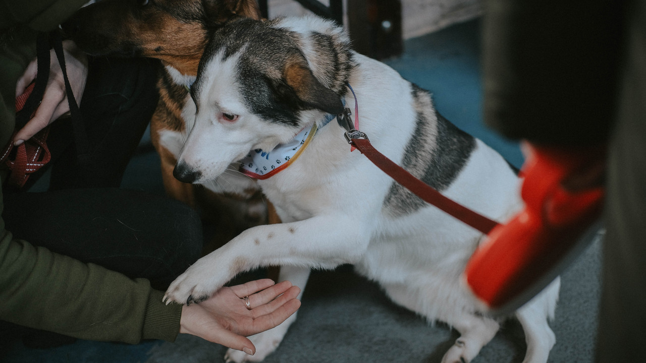 C1AF9CB2-D618-455F-BD8B-4374F712E143