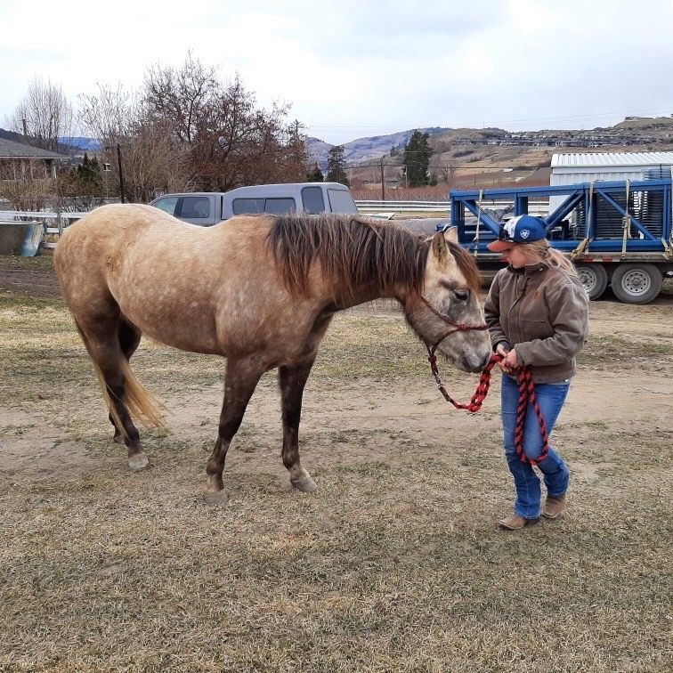 0CB5780A-D4FF-4C7D-9606-20265C4801E3