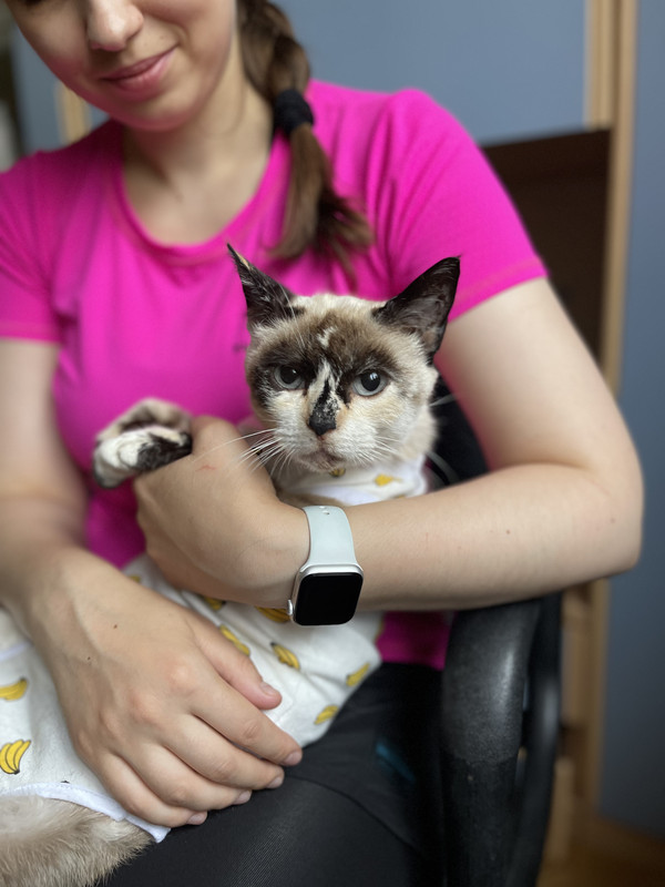 B4D9F39B-8B17-4387-AC4C-97AC0AA6BEB6