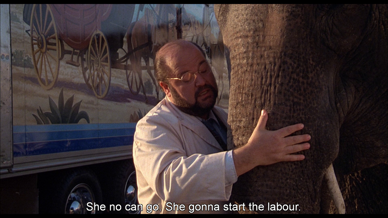 vlcsnap-2022-07-26-12h14m25s258